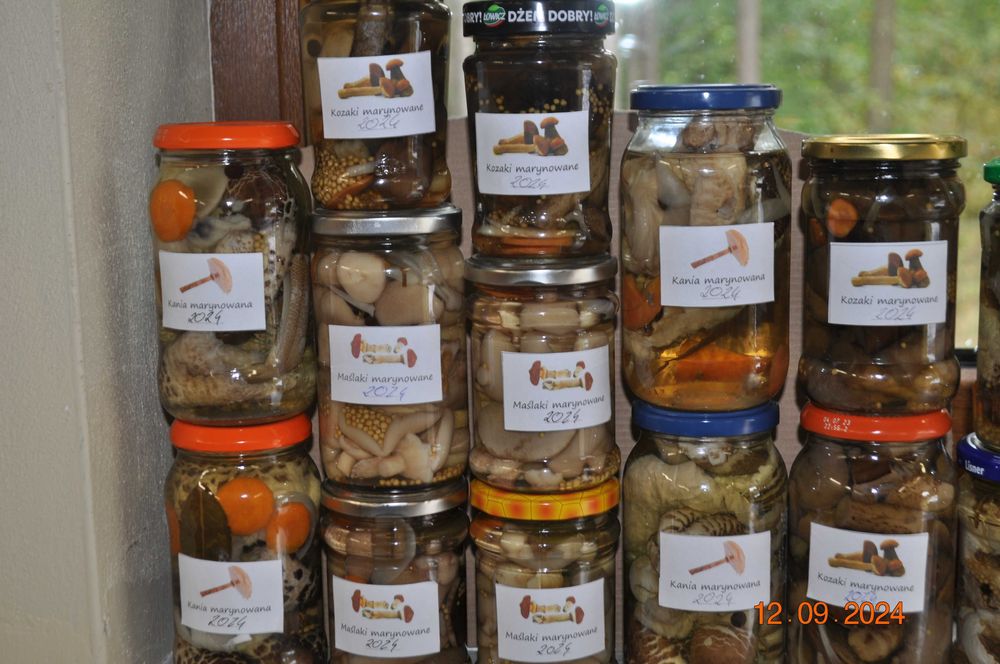 Grzyby marynowane maślaki kozaki podgrzybki rydze kanie ZBIÓR 2025