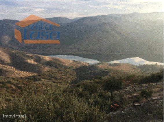 Quinta no Douro Superior 70 ha.