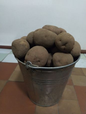 Продам картоплю 50 грн відро