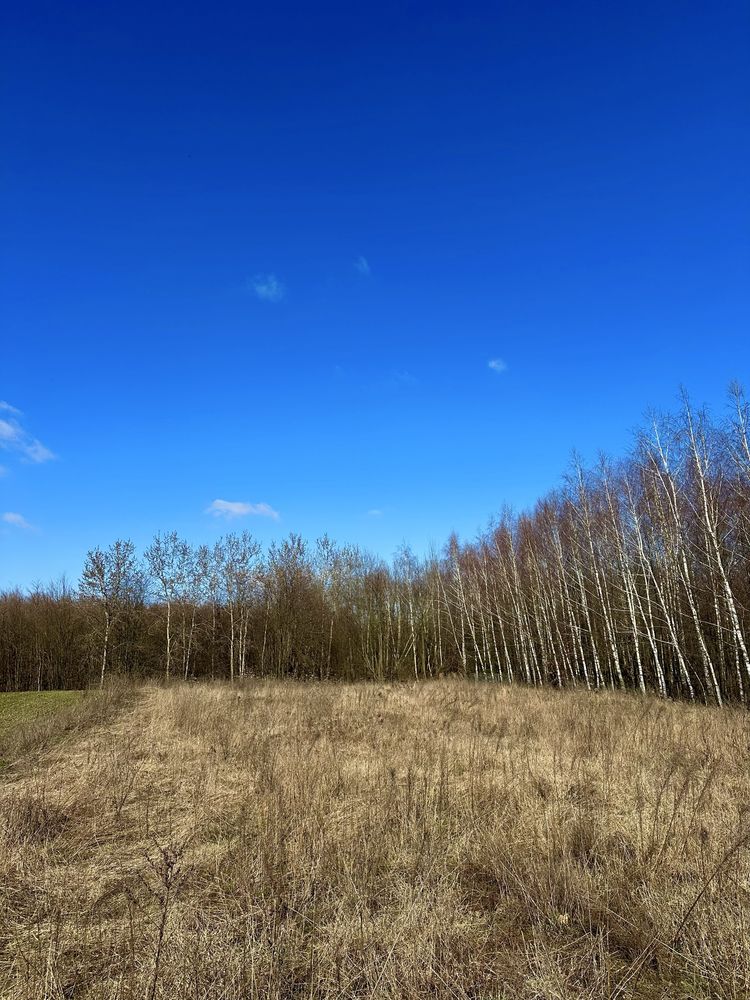 Działka budowlana przy lesie nad jeziorem Żalskim