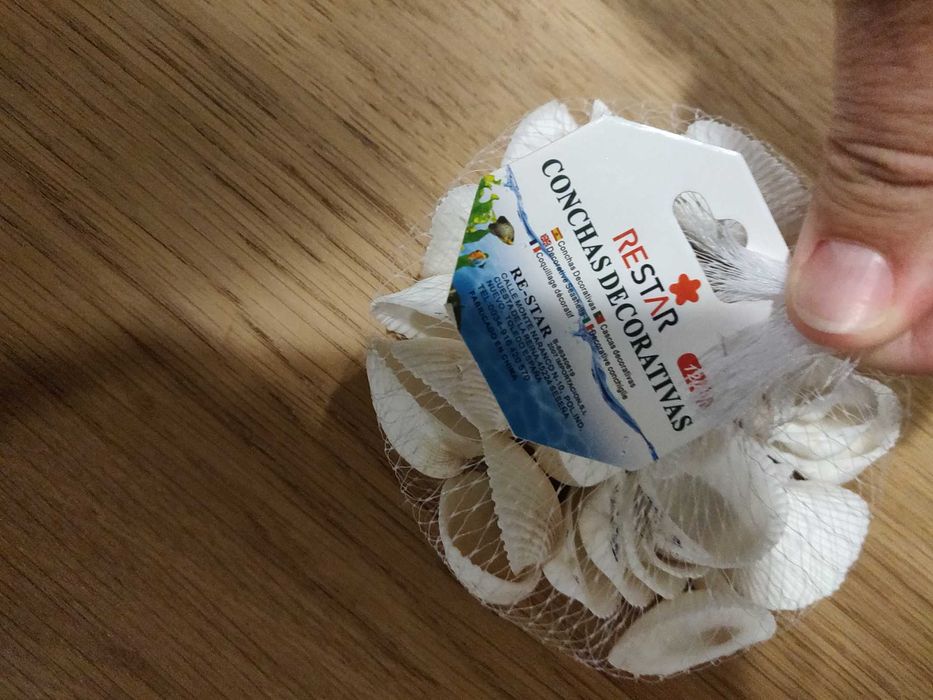 Conchas decorativas para aquário ou outros fins