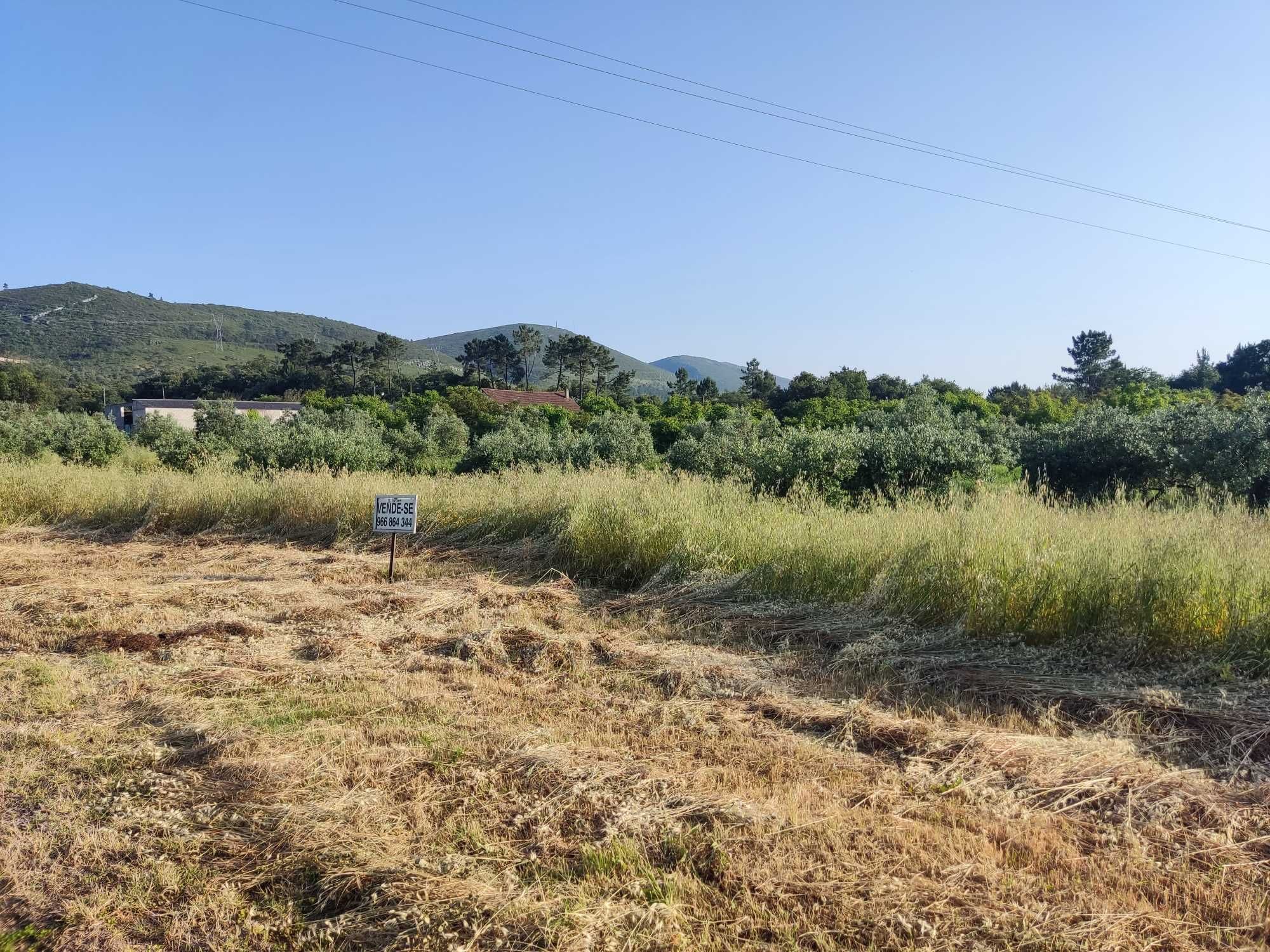 Terreno com 2900m2