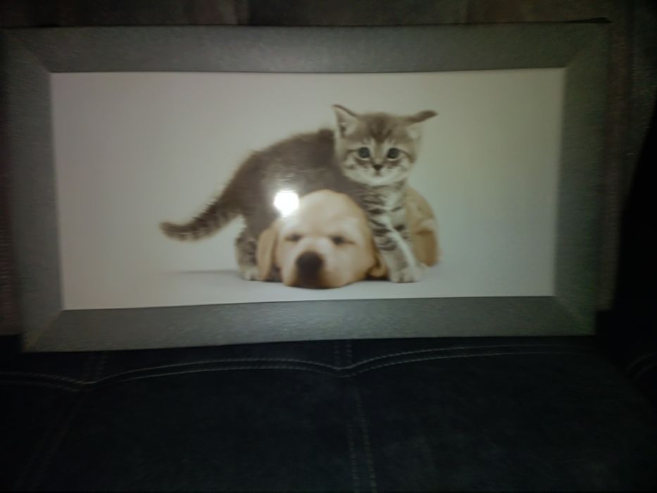 Obraz do pokoju dzieciecego