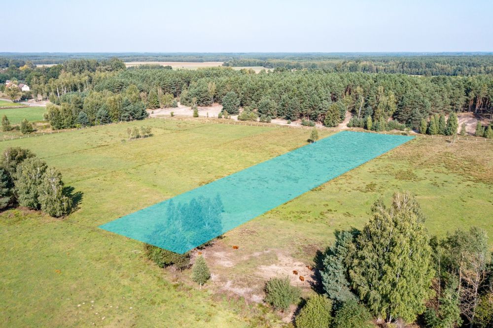Działka rolno budowlana przy lesie Roździn