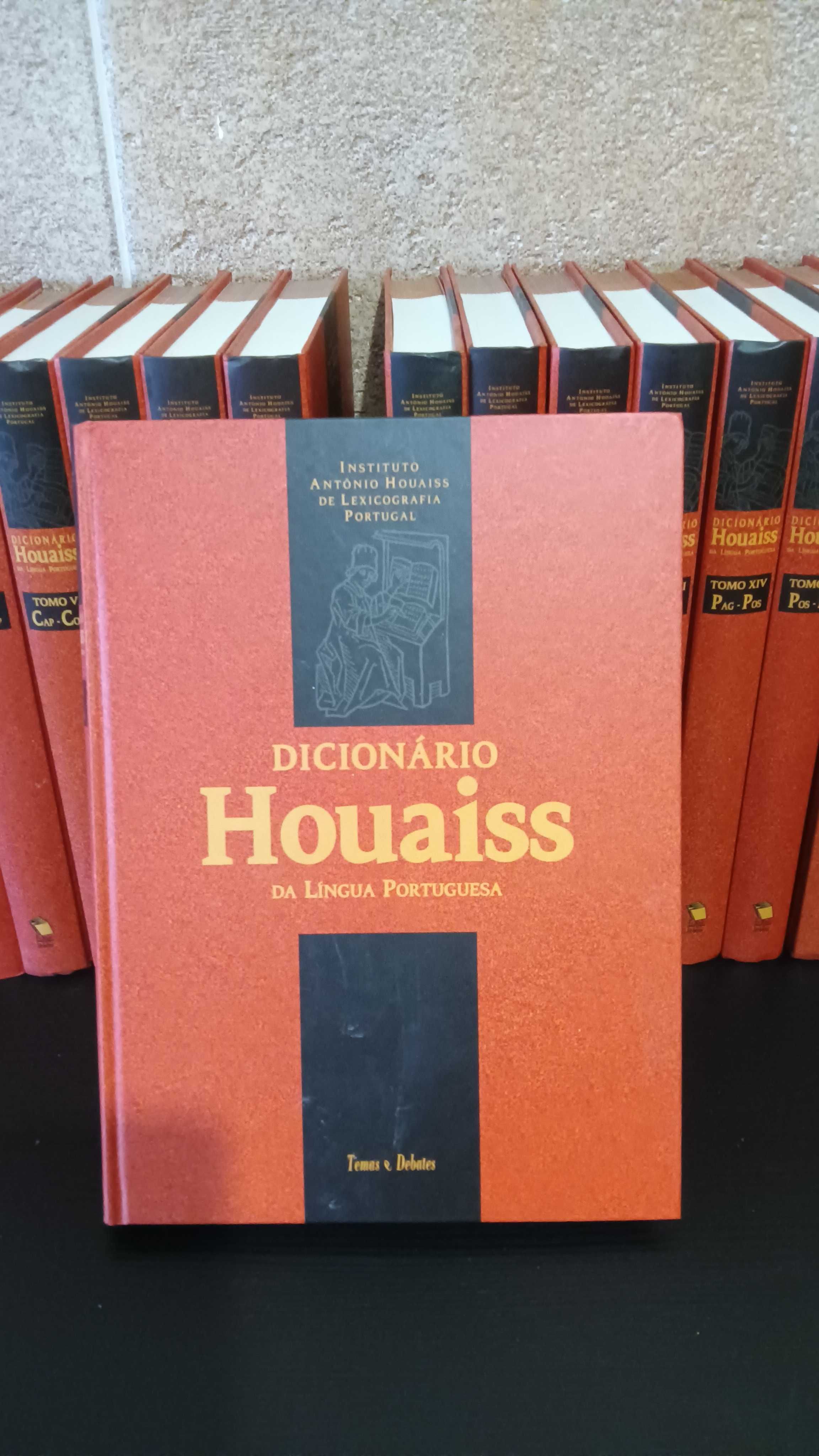 Dicionário Houaiss da Língua Portuguesa