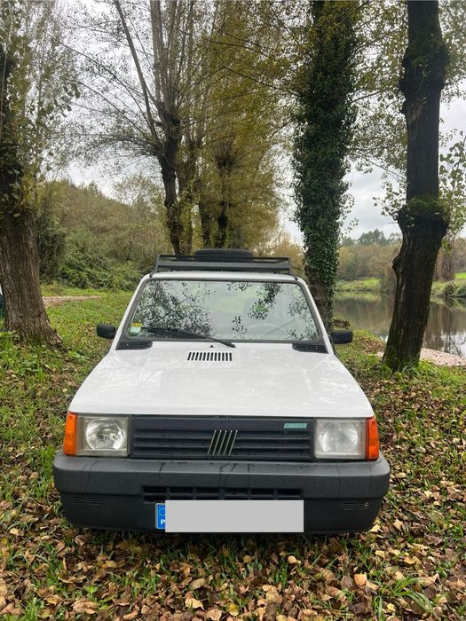 Fiat Panda young