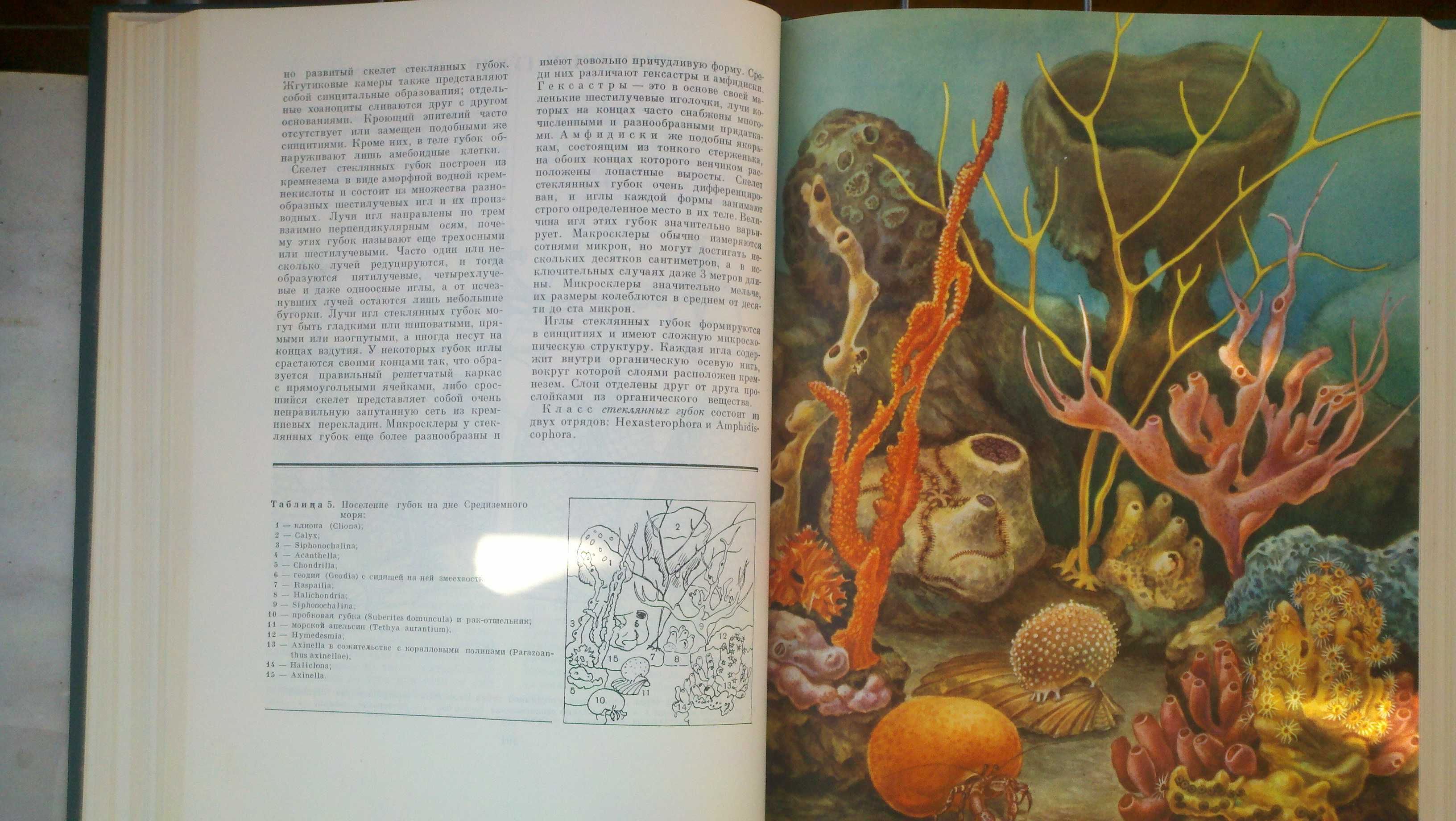 Жизнь животных.В шести томах.Том 1,"Просвещение".1968 г.