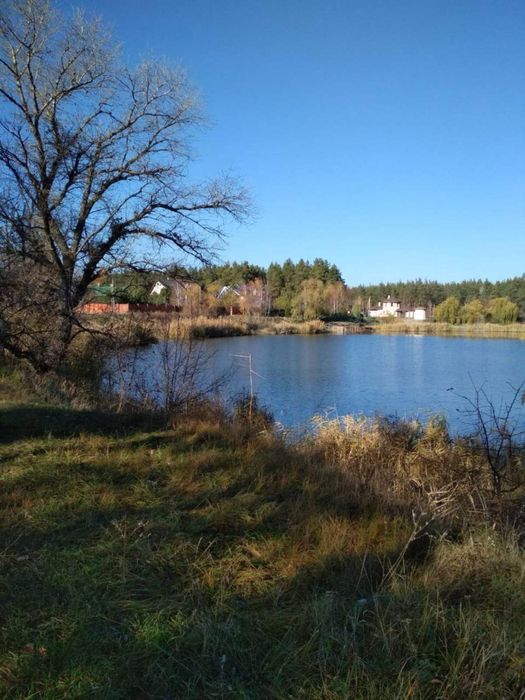 Без комиссии, с Новой крышей! Продам дом в Орловщине.