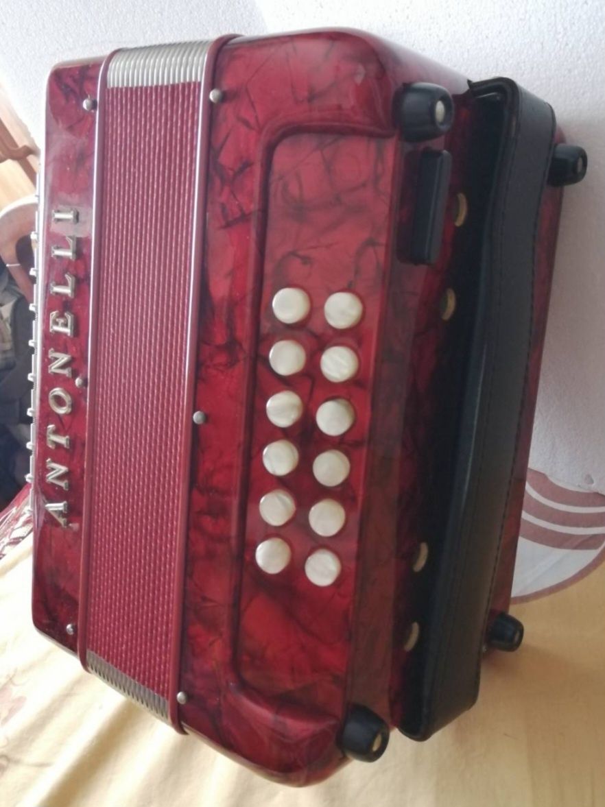 Concertina Antonelli como nova