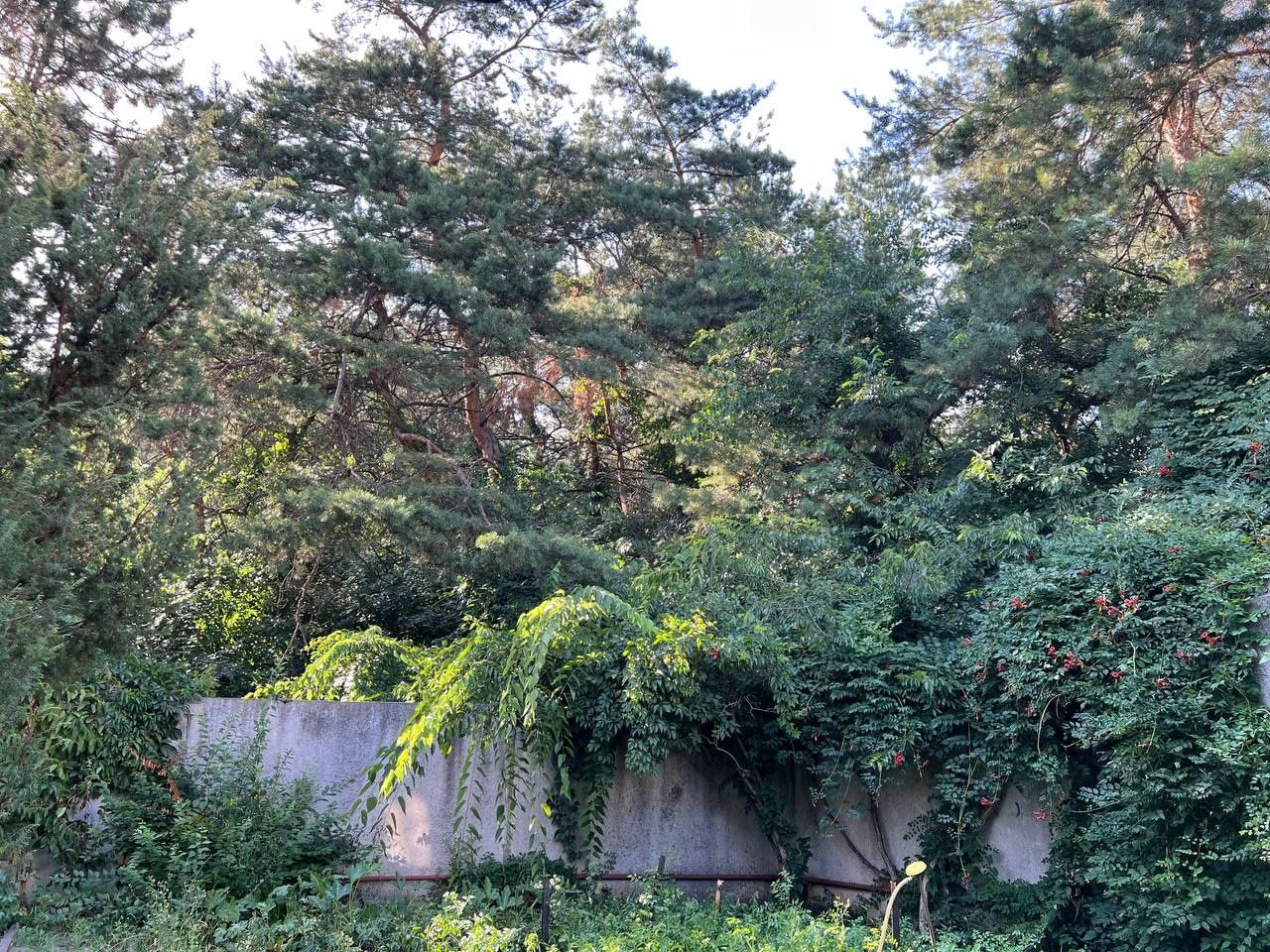 Продам будинок в лісі Бородинський Ремонт