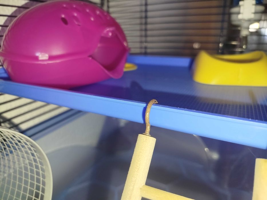 Gaiola para Hamster