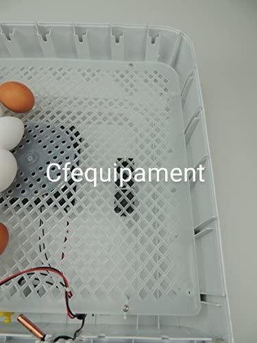 Chocadeira 60 ovos automática-NOVA