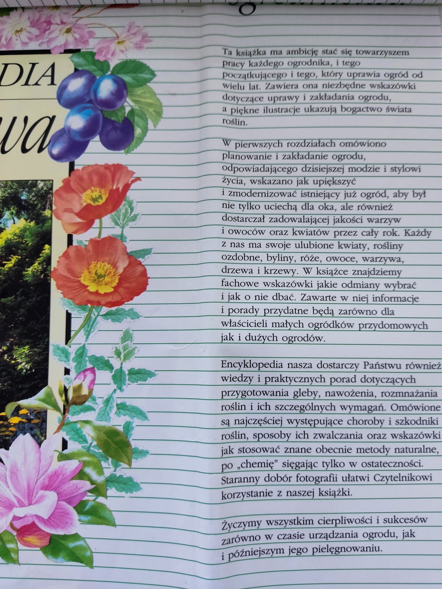 Encyklopedia ogrodnictwa ogród