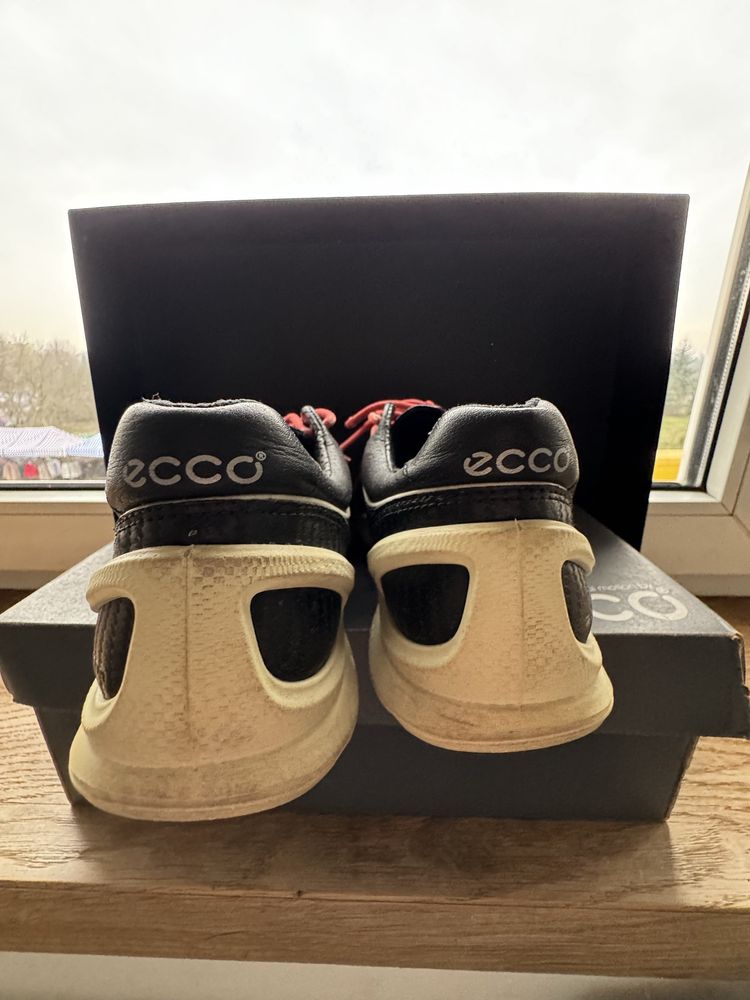 Buty sportowe Ecco biom 39