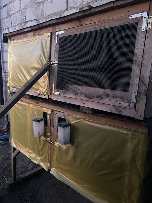 Klatki dla królików