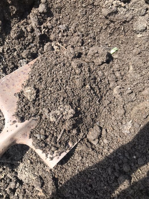 Чернозём,Срез Асфальта,Песок,Щебень, супесок, Вывоз мусора,земля,Шлак