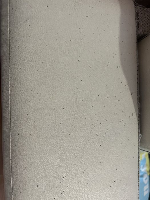 Продам диван в хорошем состоянии