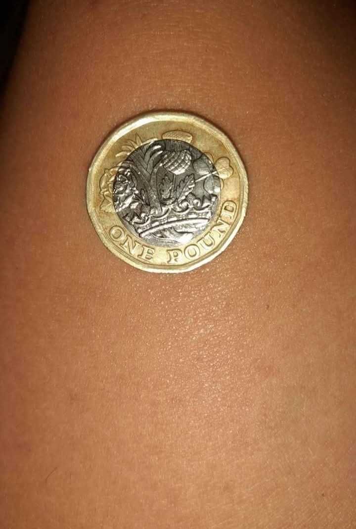 Moeda One pound 2017 Rainha Elizabeth II