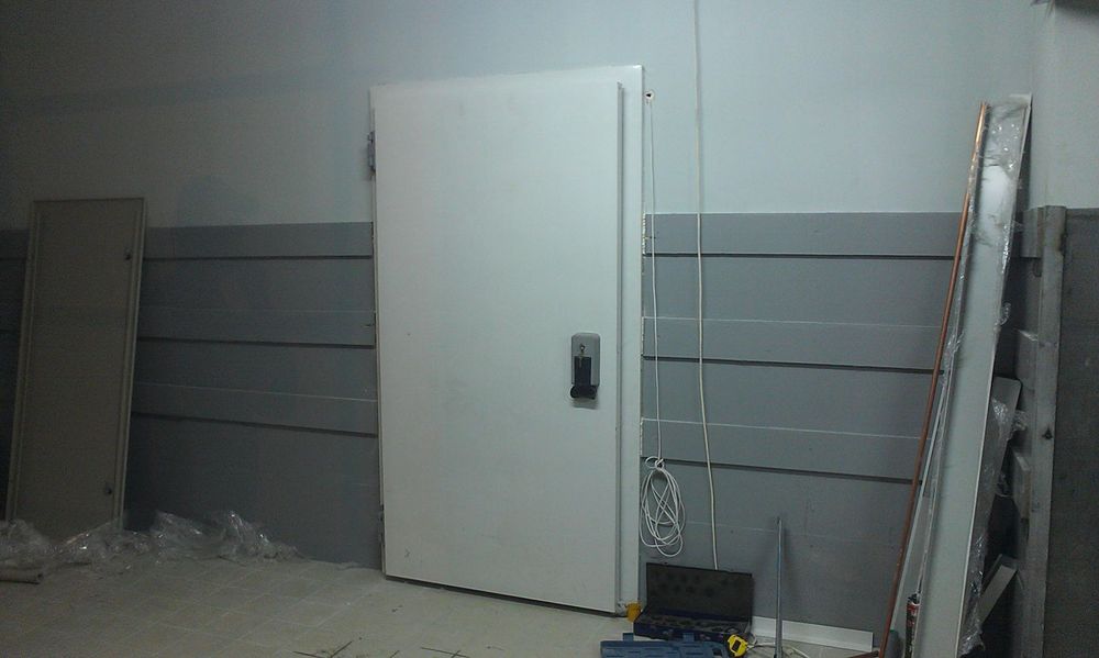 Двері в морозильну камеру