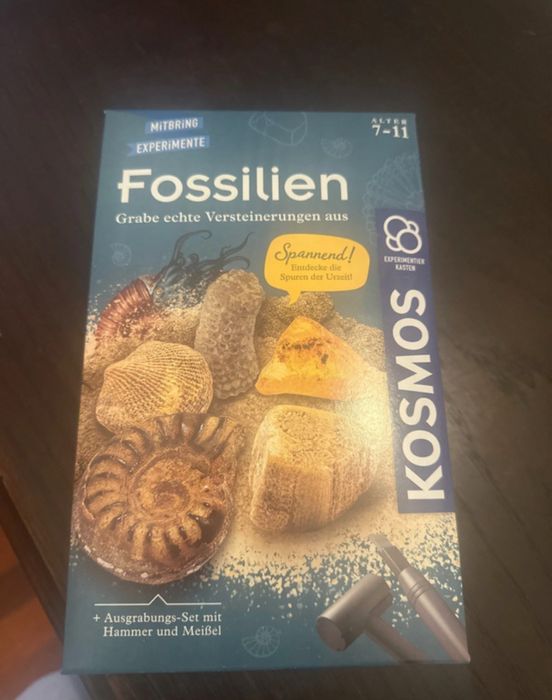 Jogo Desenterra fósseis reais" marca Kosmos