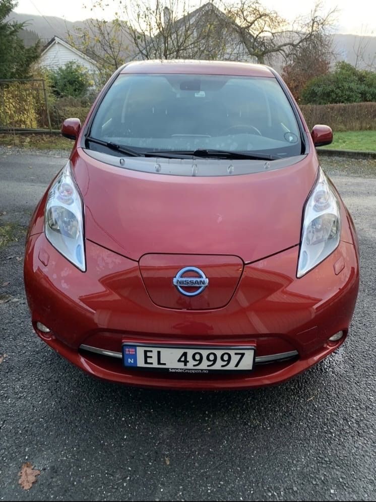 В дорозі в Україну Nissan Leaf 2014р. 11/12 поділок