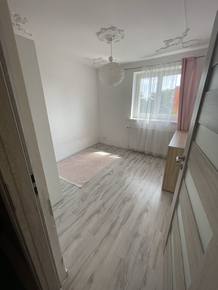 Wynajmę mieszkanie 3 pokoje 53m2