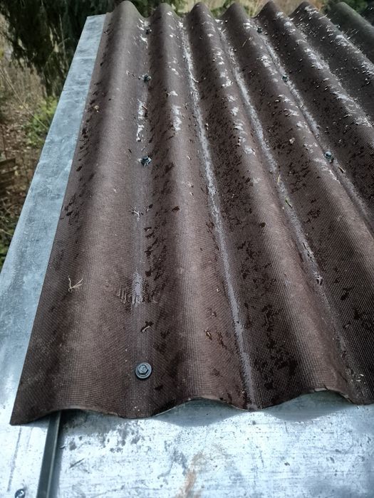 Duża ocieplona buda dla psa XL