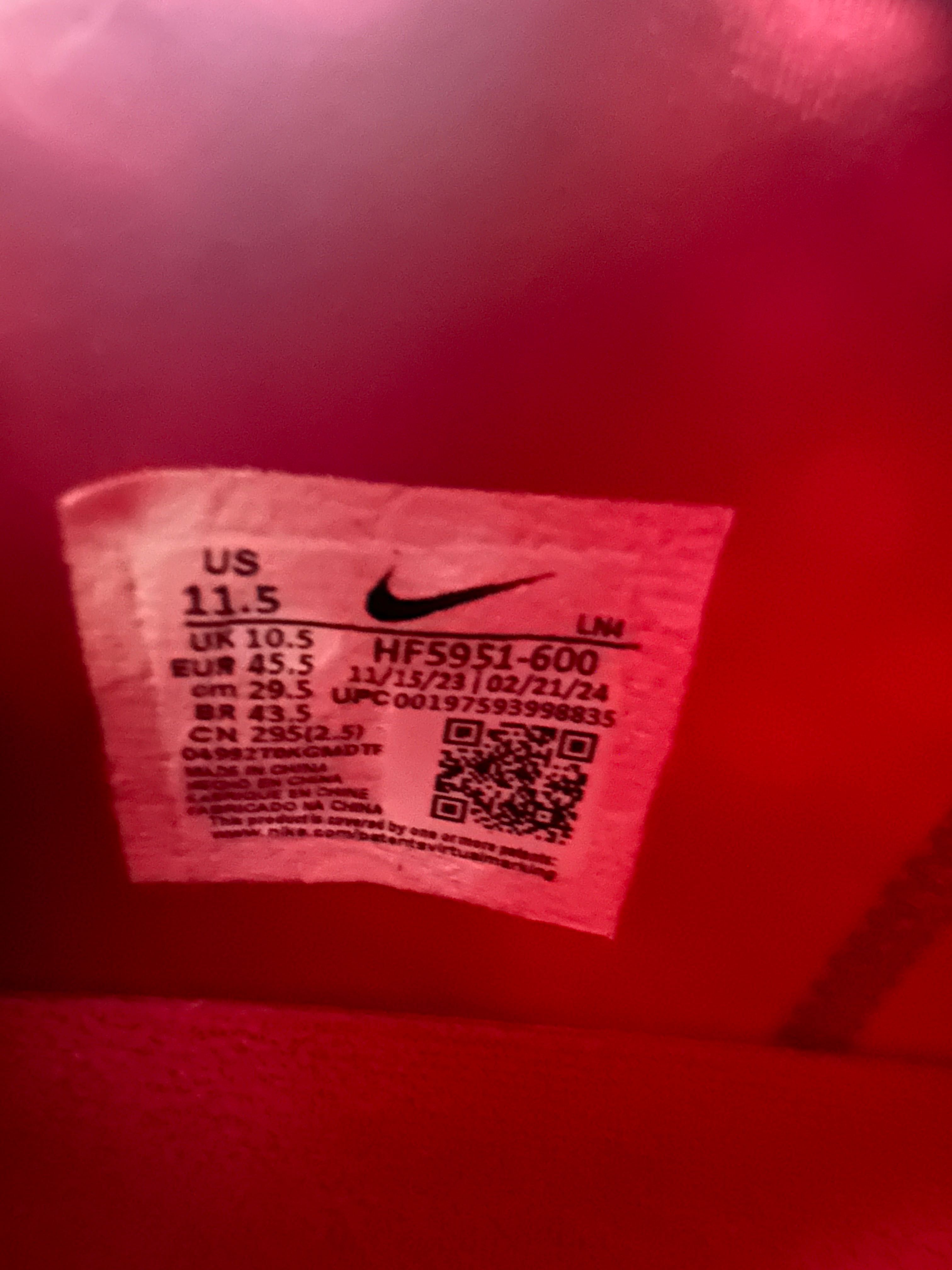 Nike LeBron 21 James Gang