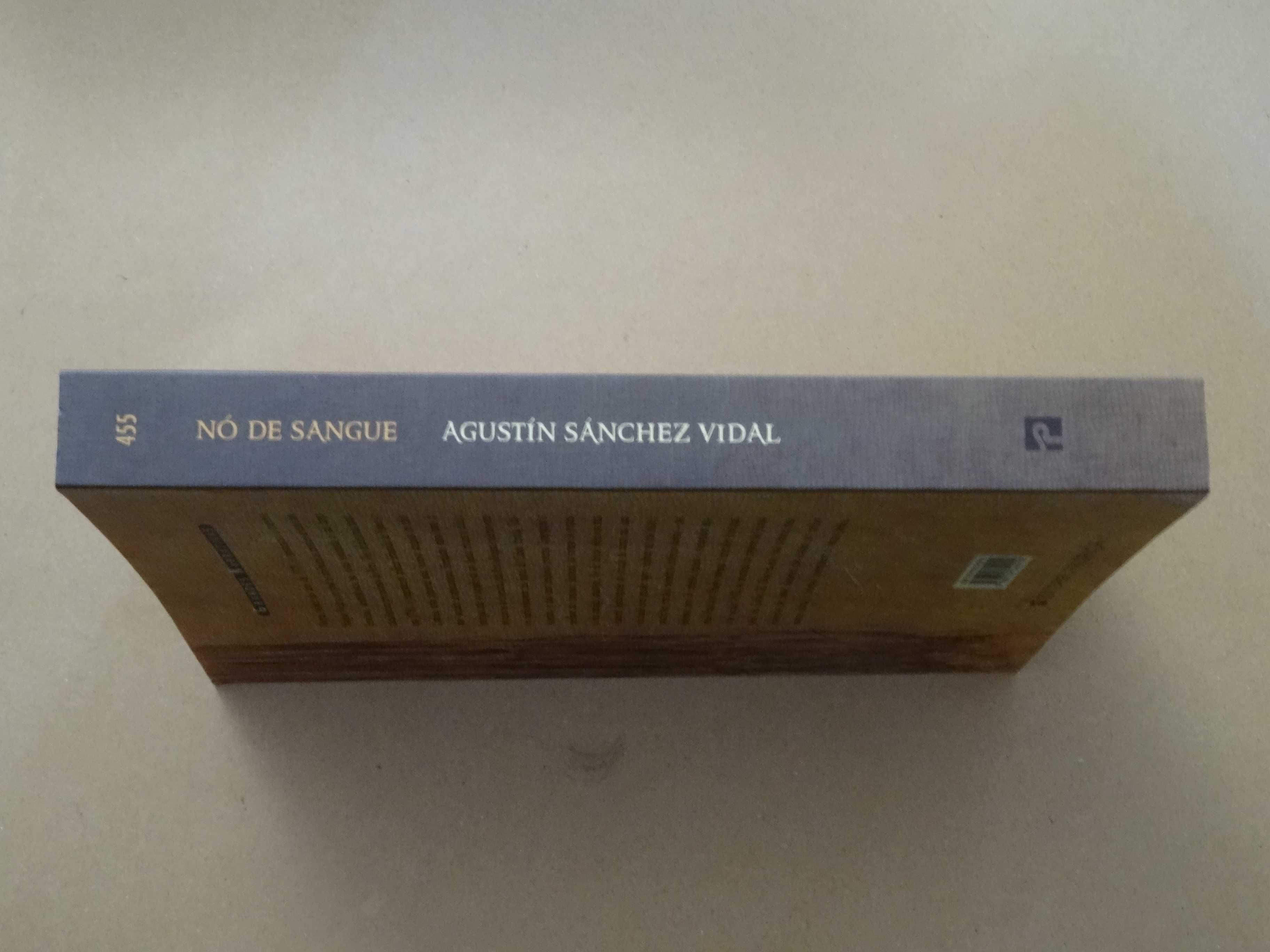 Nó de Sangue de Agustín Sánchez Vidal - 1ª Edição