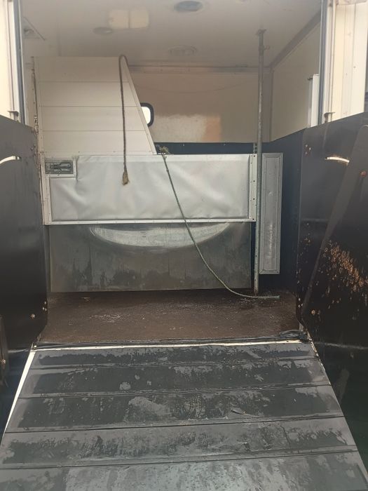 Koniowóz Mercedes sprinter v6 3.0 97 tys przebiegu ,