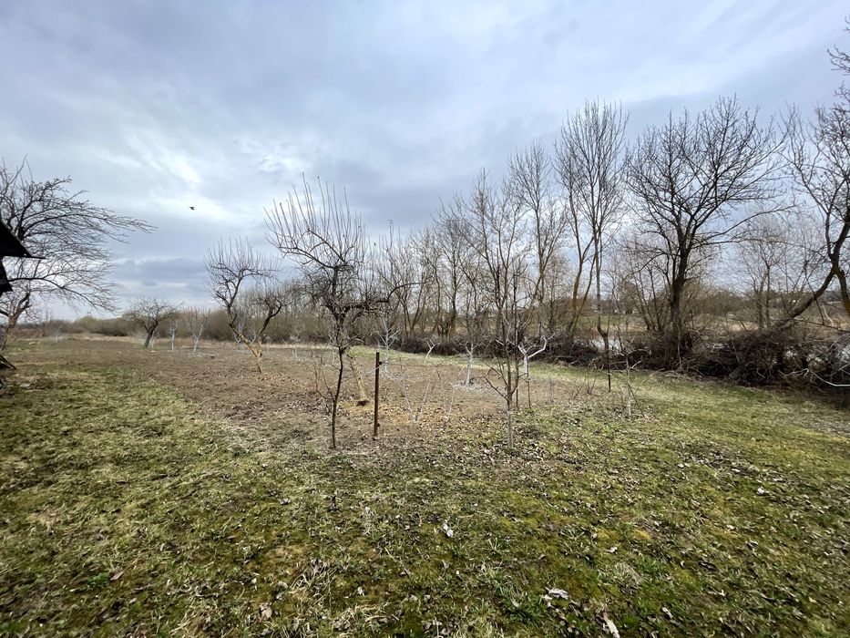 Будинок з господарськими будівлями та земельною ділянкою