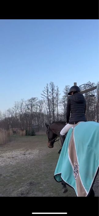 Derka polarowa eskadron L