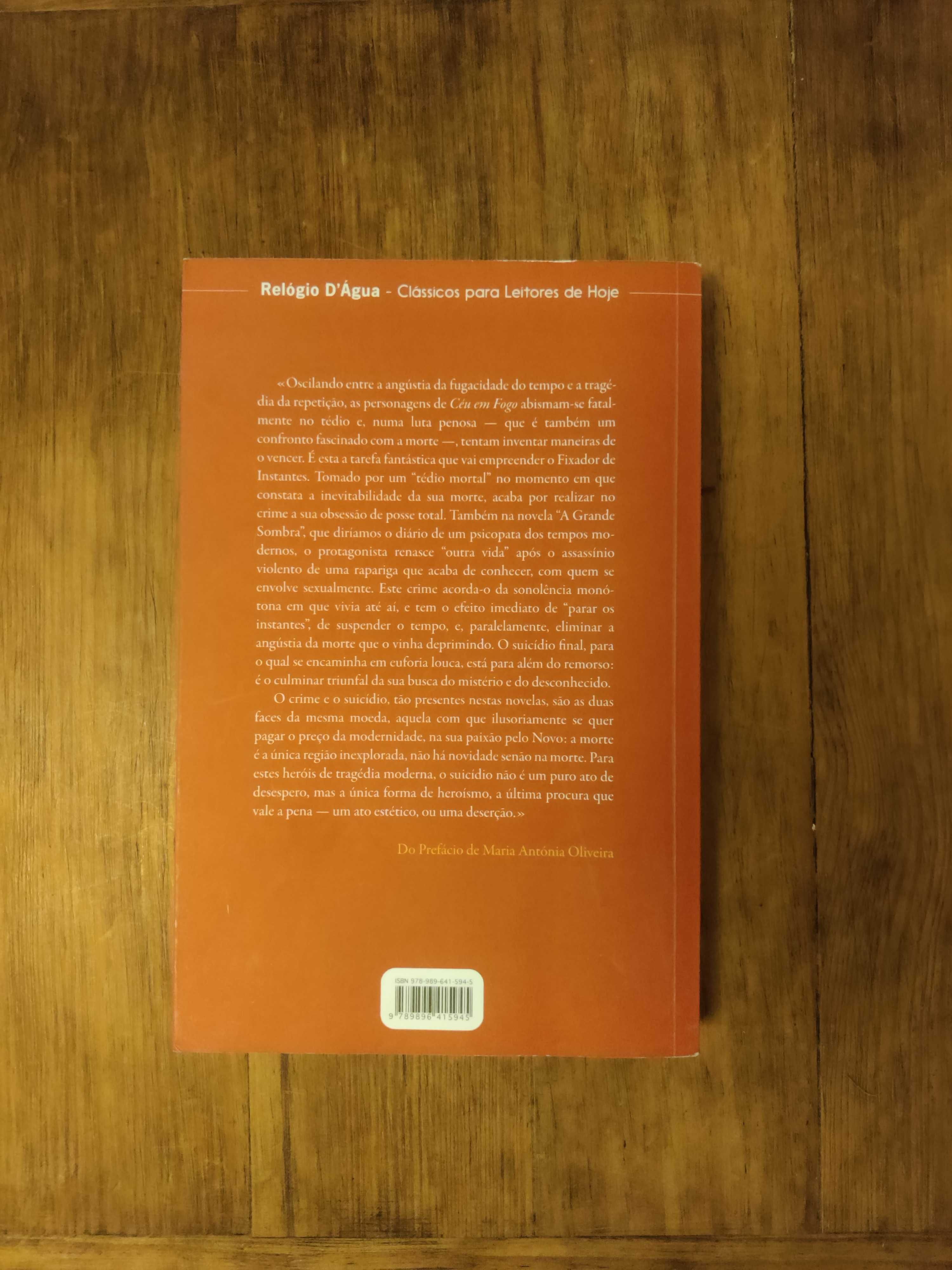 Livro Céu em Fogo de Mário de Sá Carneiro