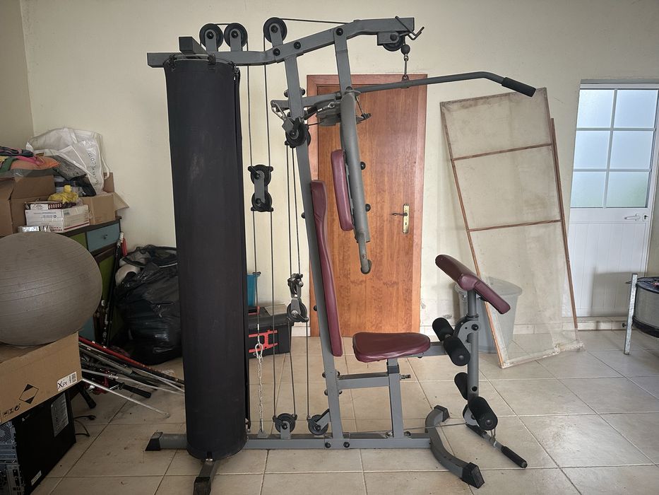Maquina profesional  zeus