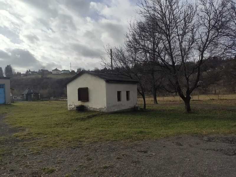 Ветлікарня, 834,8 кв. м, c-ще Путила, вул. Українська, 19