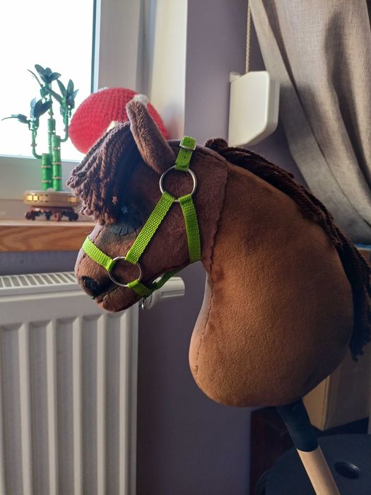 Hobby horse Rdn golony