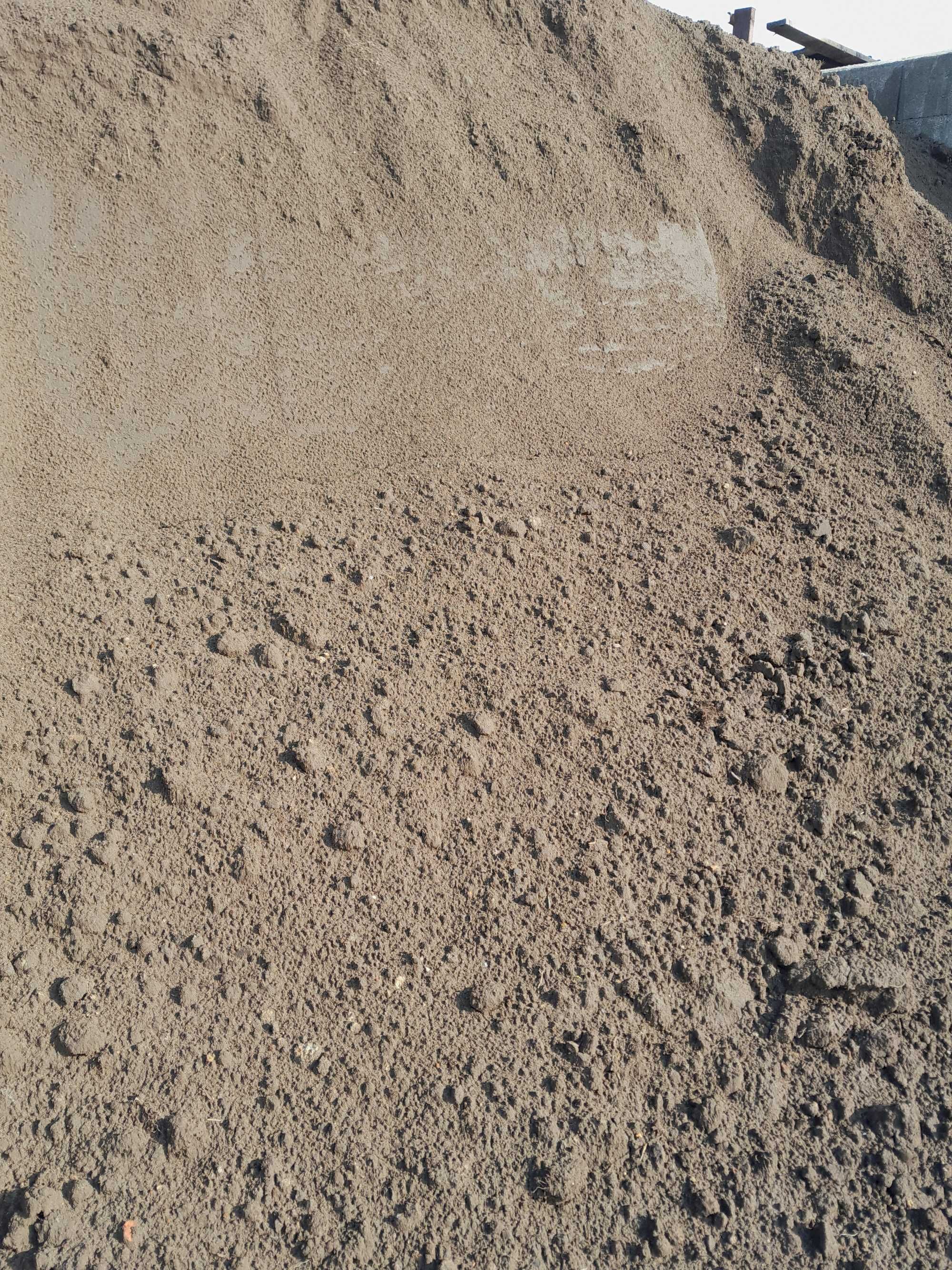 Humus nieprzesiany , wierzchnia warstwa ,