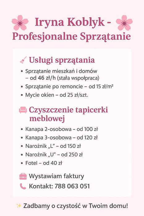 Profesjonalne sprzątanie mieszkań, domow