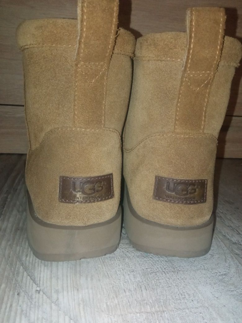 UGG w classic mini