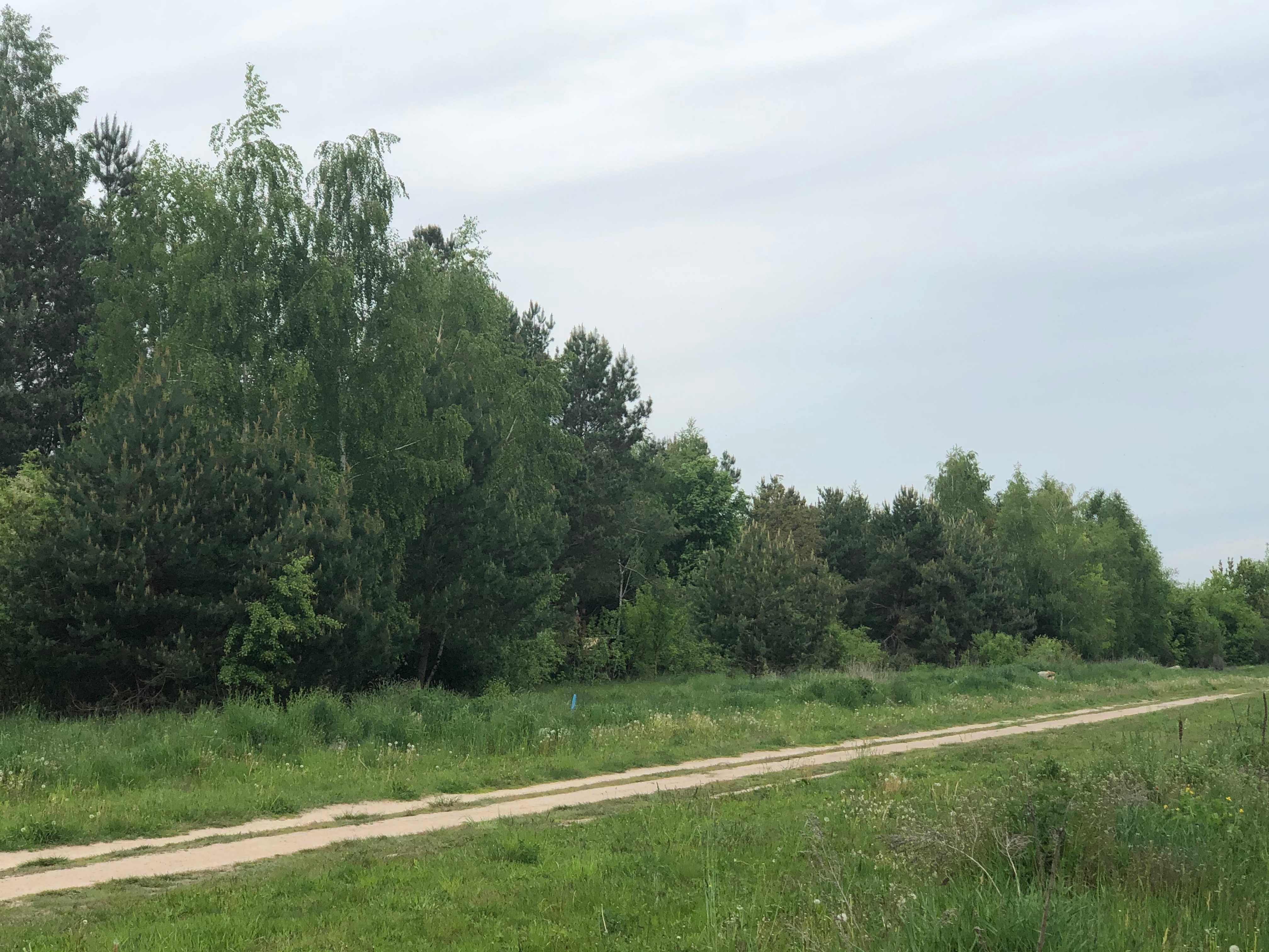 Działka z linią brzegową nad rzeką Narew - Kalinowo.