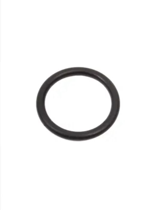 Керхер Karcher Кільце ущільнююче під горловину пробки Парогенератора