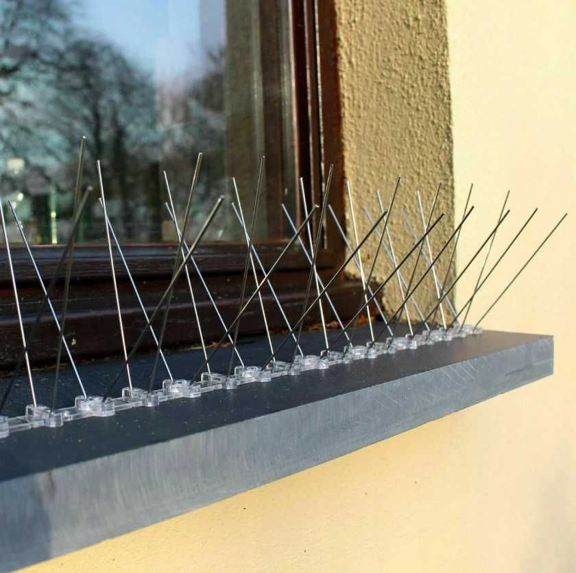 2x Kolce na PTAKI gołębie najgęstsze najmocniejsze nierdzewne 50CM