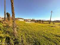 Terreno Para Construção  Venda em Santa Cruz da Trapa e São Cristóvão