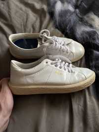 Кеди Golden goose deluxe brand