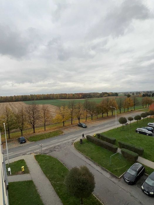 Wynajem - mieszkanie M4 Pawłowice