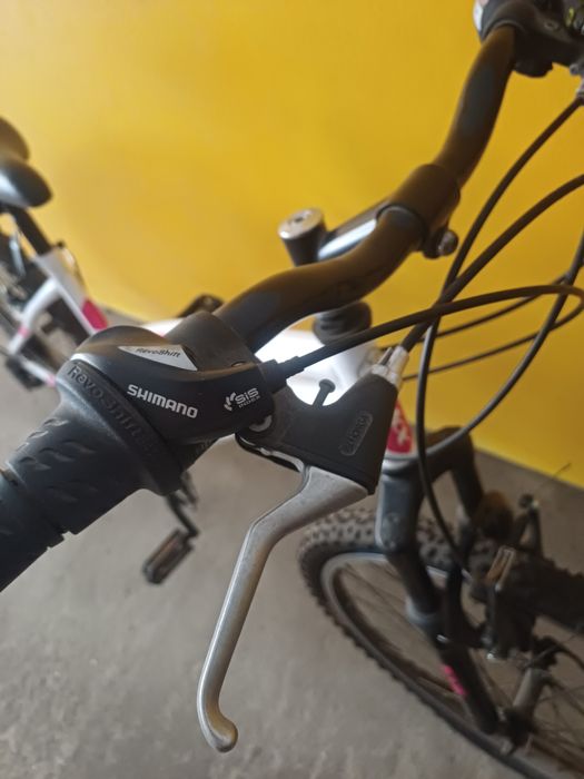 Bicicleta de montanha