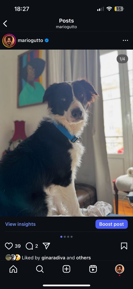 Adoçao dos filhos da paty :)