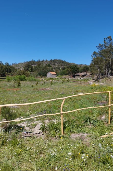 Quinta 5 ha – Figueiró da Granja / Fornos de Algodres