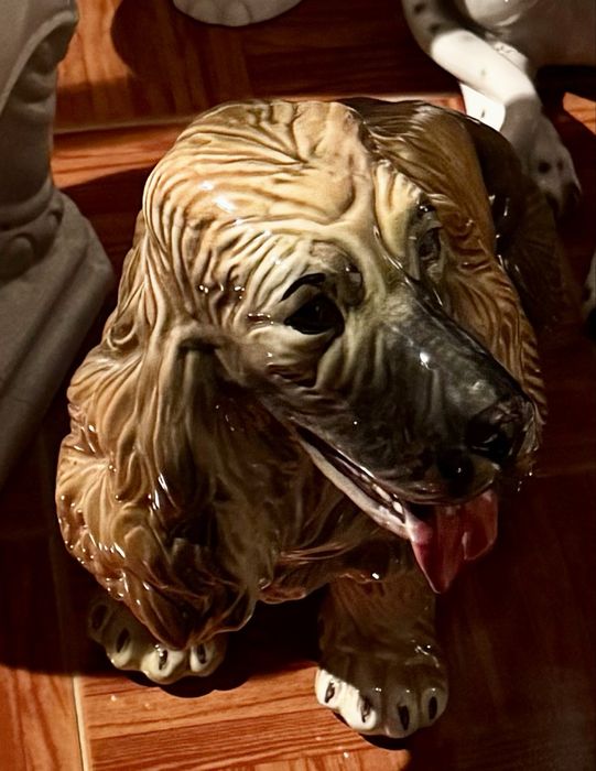 Cao de loiça pequeno - cocker