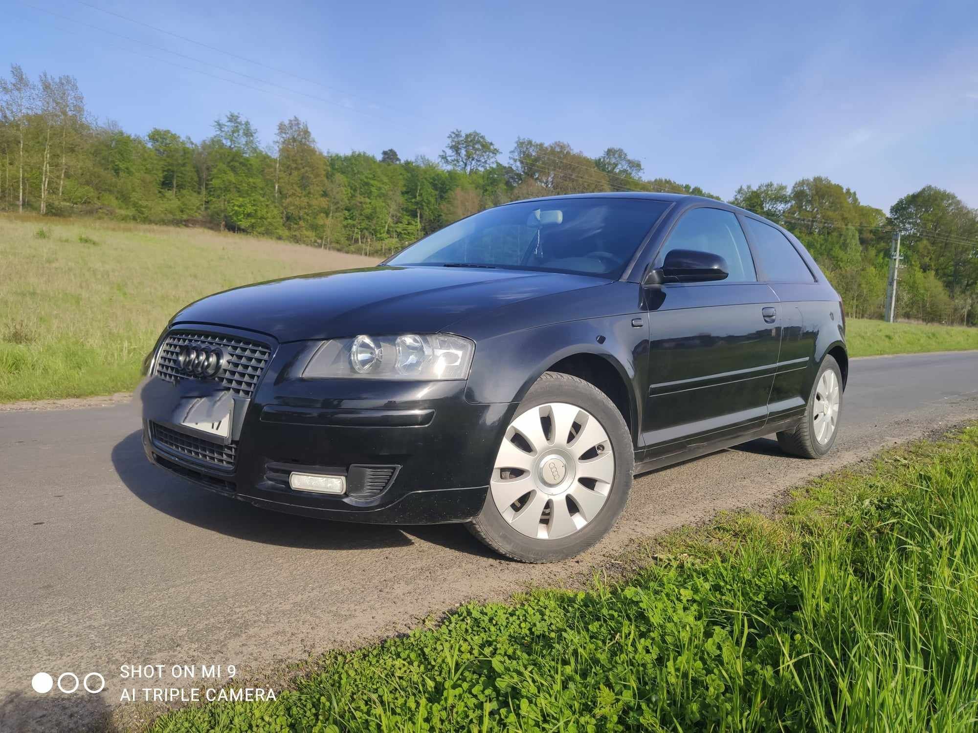 Audi A3 8p 1.9 TDI